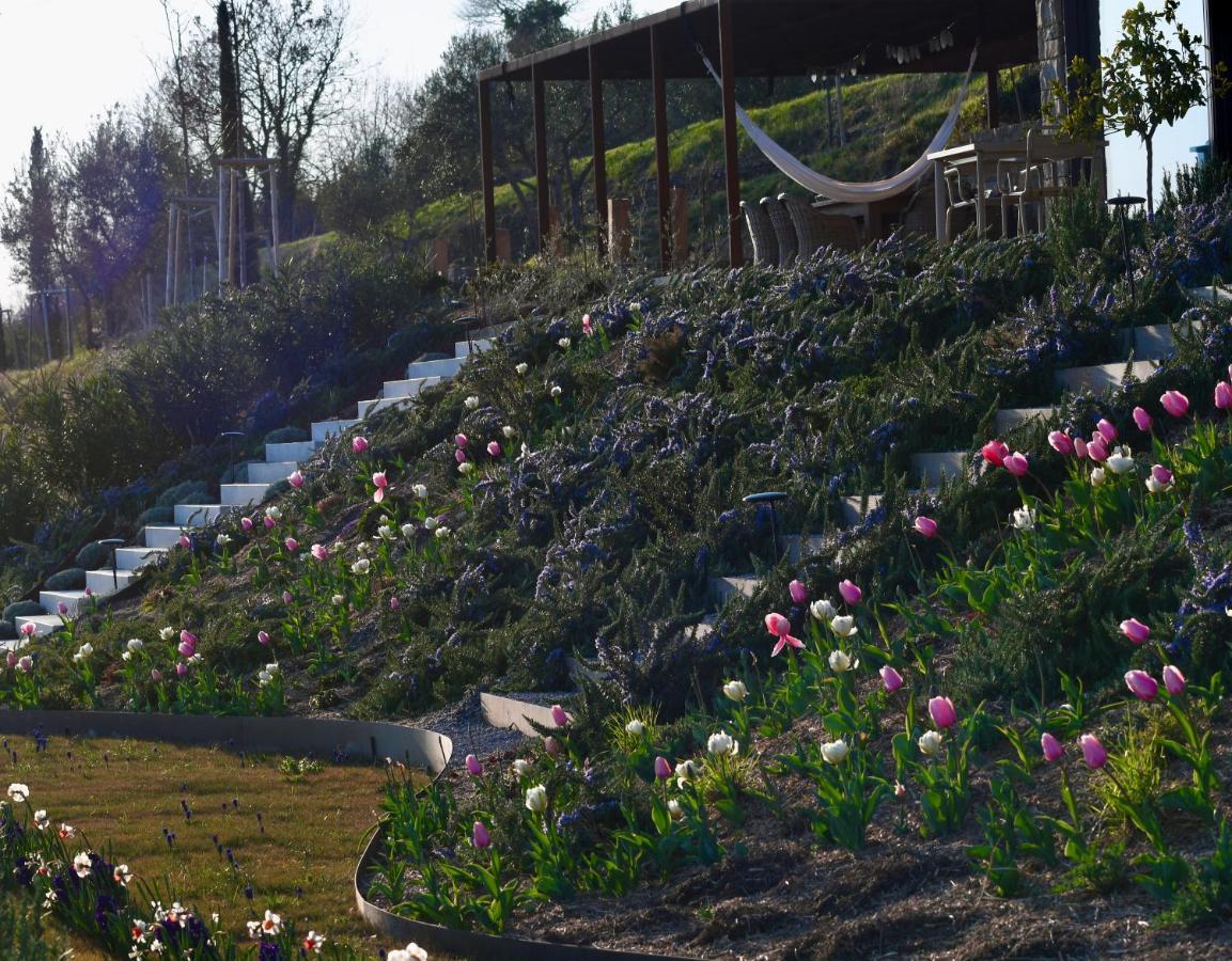 Monte Piccolo B&B Buje Dış mekan fotoğraf